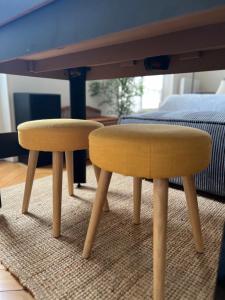 Appartements Grand studio lumineux en plein coeur de Versailles : photos des chambres