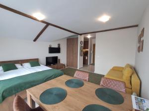 Large studio with view in Borovets Gardens