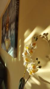 Residencial Cotillo Playa