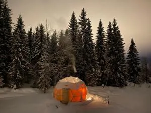 Dome Glamping with shared bathroom - Fåberg