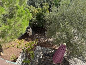 Appartements Tres agreable gite tres bien equipe avec piscine privee : photos des chambres