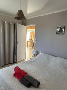 Appartements Tres agreable gite tres bien equipe avec piscine privee : photos des chambres