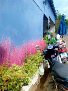MD Kohlarn-Pattaya