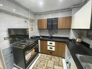 شقة فندقية مميزة على النيل