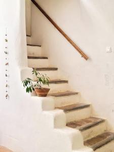 Les voûtes du vieux village