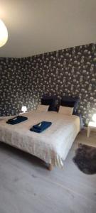 Maisons de vacances GITE DE MIRAUVILLE : photos des chambres