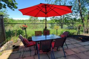 Cozy and comfy Studio Apartment