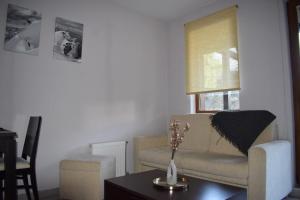 Studio Bella, Bansko