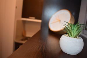 Studio Bella, Bansko