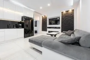 White Luxury Apartment - Janów