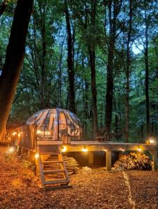 Le Dôme de Namur - Une nuit insolite dans les bois