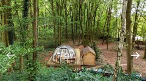 Le Dôme de Namur - Une nuit insolite dans les bois