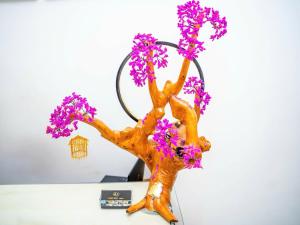 Duc Duy Hotel Cat Ba