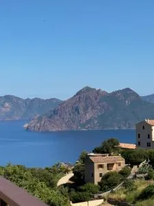 T3 de standing à Piana - 皮亚纳