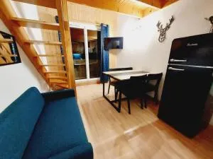 LE COSY à Aime La Plagne - Sangot