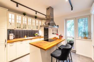 Quiet apartment in new city center, NIVY