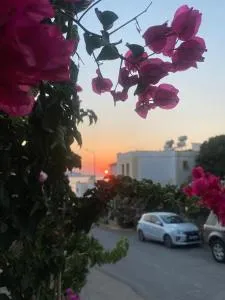 Hancı evleri - Karabağ