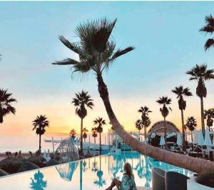 Apto ruzafa patio center science oceanografic