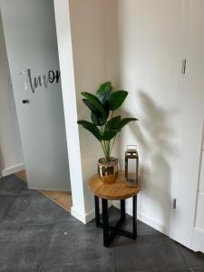 APARTAMENT AMORE-blisko morza