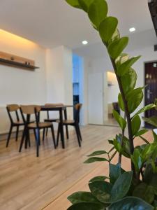 SaGa Apartament