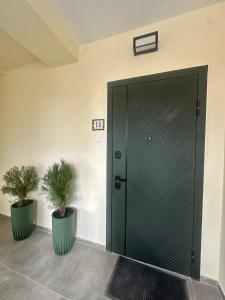 Central Park Apartment