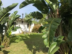 CasaBlanca - 拉科罗尼亚