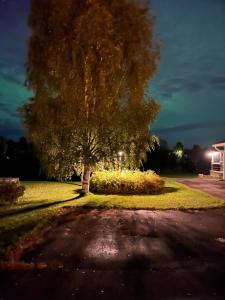 Cozy studio in 5 min drive from Santa Claus Village