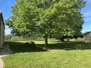 Maisons de vacances Agreable et confortable maison Le Vigan en Quercy : photos des chambres