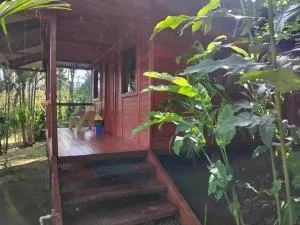 Cabañas Los Laguitos Rio Celeste - El Achiote