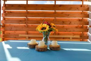 Dom z jacuzzi & tarasem całoroczny do 10 osób DOM NA PROMOWEJ - LAS, Zator