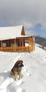 Villa N'Malaj - Rožaje