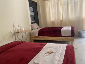 Nomada Hostel Oaxaca - Vive nómada!