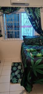Beautiful 1-Bedroom in St Thomas Jamaica