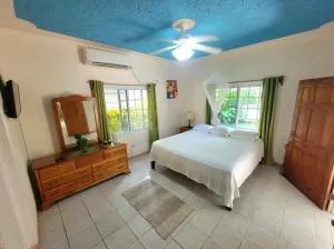 Green's Palace Jamaica - Salt Gut Pen