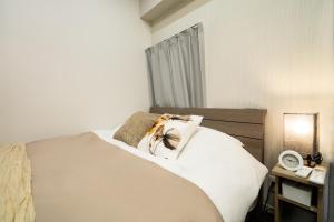 98, Higashi-tateishiA 1st floor of the apartment, 東立石A 1F