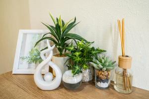 98, Higashi-tateishi A 1st floor of the apartment, 東立石A 1F