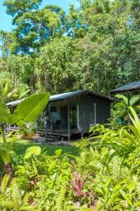 Safari Lodge - Cape Tribulation