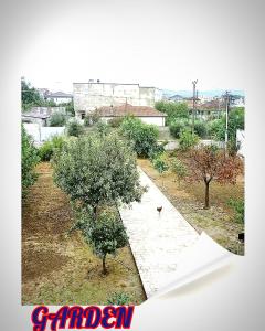 Villas Elenna for rent feeling home