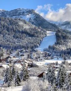 studio station des carroz d'arraches - Magland