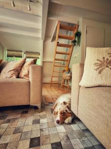 Boshuisje Durbuy Nr6