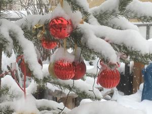 Hotels Hotel Restaurant de la Chaussee : photos des chambres