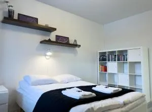 Cozy 1BR City Centre Home with Free Parking - 皮耶克赛迈基