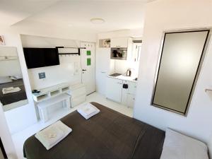 Penthouse with Acropolis view