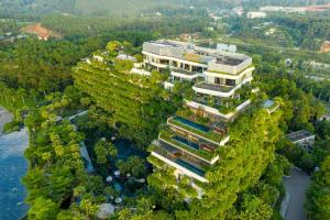 Flamingo Dai Lai - Forest In The Sky