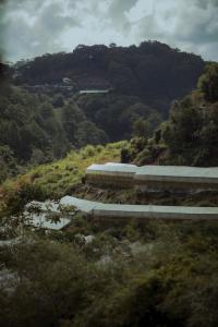 Nắng Xinh Homestay