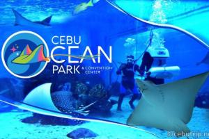 17D Walking distance to Ayala and IT Park with WIFI