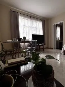 Céntrico y cómo departamento en el Centro de la ciudad de México - 墨西哥城