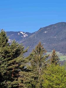 Idyllisches Haus in der Natur