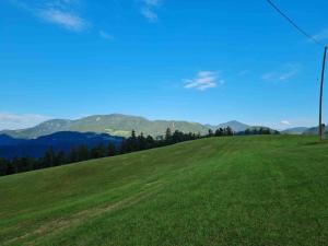 Idyllisches Haus in der Natur 