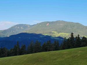 Idyllisches Haus in der Natur